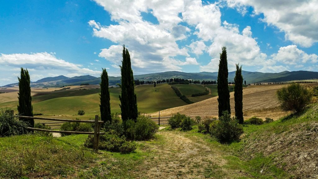 The countryside of Pisa